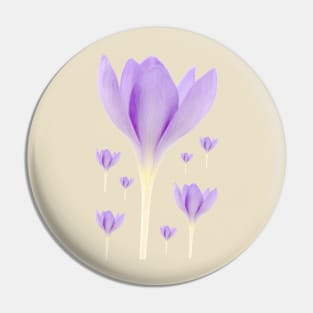 Crocus goulimyi   AGM  Autumn flowering crocus Pin