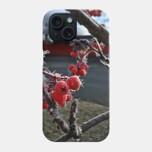 Frosty Mountain Ash Berries on a Cold November Morning Phone Case