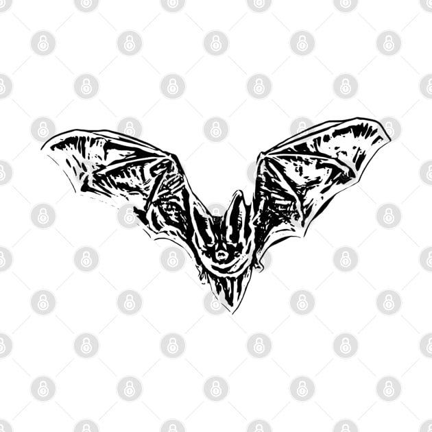 Bat by Nimmersatt