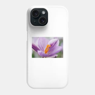 Crocus  'Spring Beauty' Phone Case