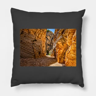 Lick Wash Trail Hike Pillow