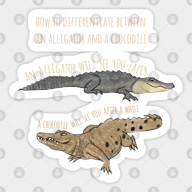 Funny Alligator And Crocodile T Shirt Alligator Pegatina Teepublic Mx