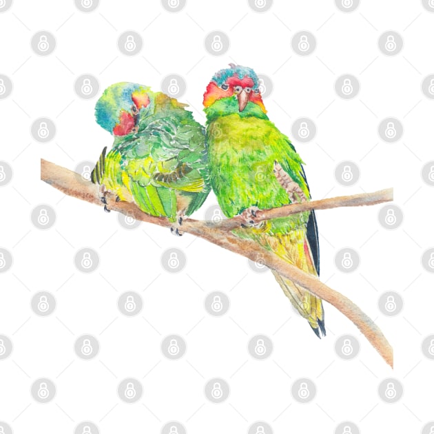 Musk lorikeet couple by ZoyaArt