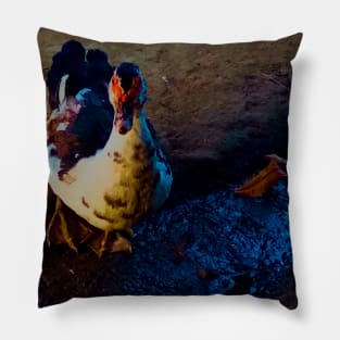 Duck Walking on Mud Ground Pillow