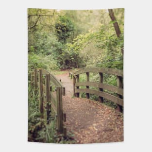 Path to the Bridge Tapestry