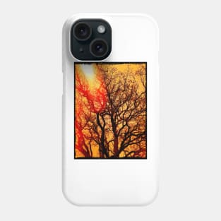 LAST LIGHT THROUGH THE TREES Phone Case