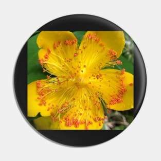 Yellow Radiance Pin