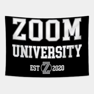 Zoomer University 2020 Tapestry