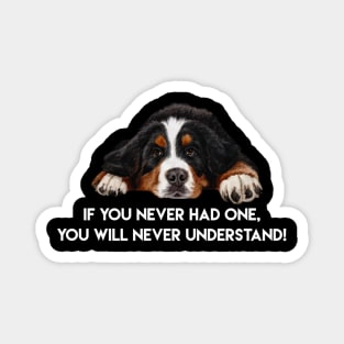 Bernese mountain dog Magnet