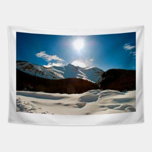 Canadian Rocky Mountains Icefields Parkway Canada Tapestry