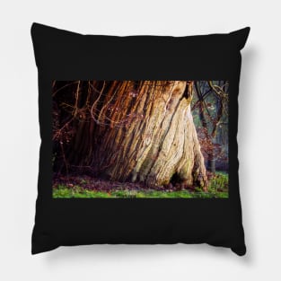 Twisted Trunk of a Sweet Chestnut Tree Pillow