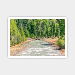 Animas River in Durango/Silverton Colorado Magnet