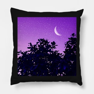 Crescent Moon, Evening Sky Pillow