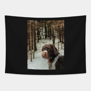 Winter Wirehair Tapestry