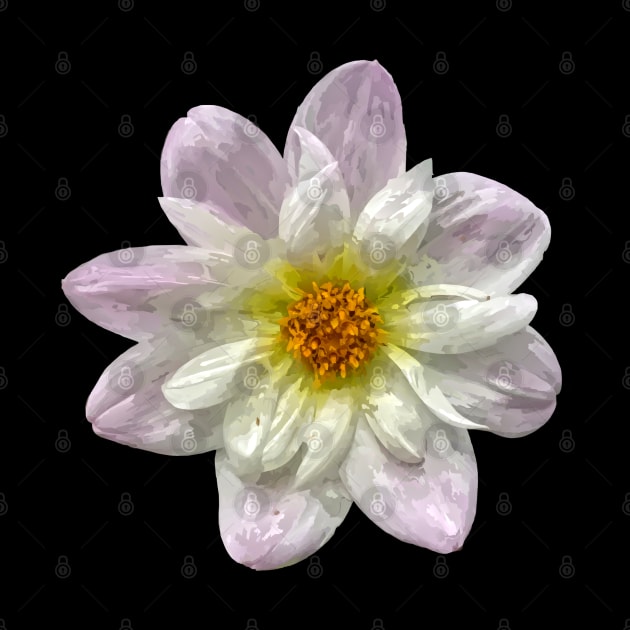 Pretty purple white yellow Dahlia Botanical Bee Flower Annual by BurunduXX-Factory