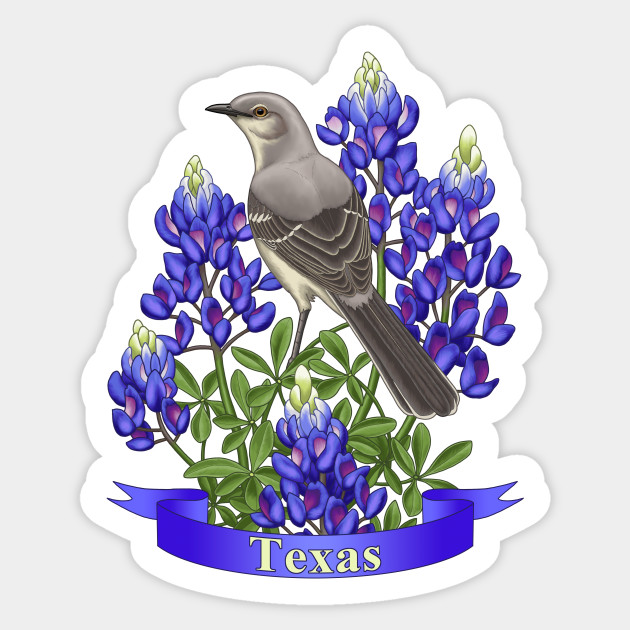 Texas State Mockingbird And Bluebonnet Flower Texas Sticker Teepublic