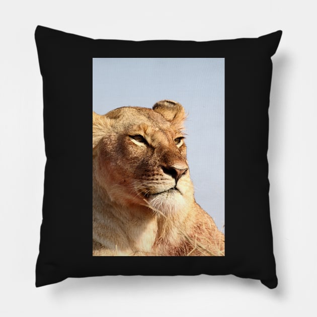 African Lion, Serengeti, Tanzania Pillow by Carole-Anne