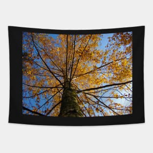 Autumn Sky Tapestry