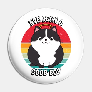 Cute fat cat is a Good Boy Pin