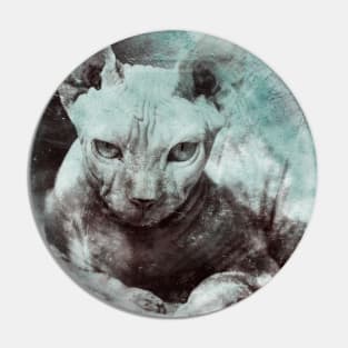 Sphynx cat design Pin