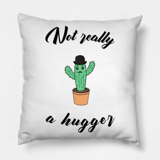 Not really a hugger - a funny cactus Pillow