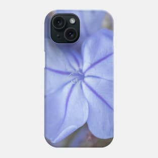 Delicate Bue Flower Photography V2 Phone Case