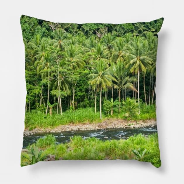 Cahulogan River, Gingoog, Misamis Oriental, Mindanao, Philippines Pillow by Upbeat Traveler