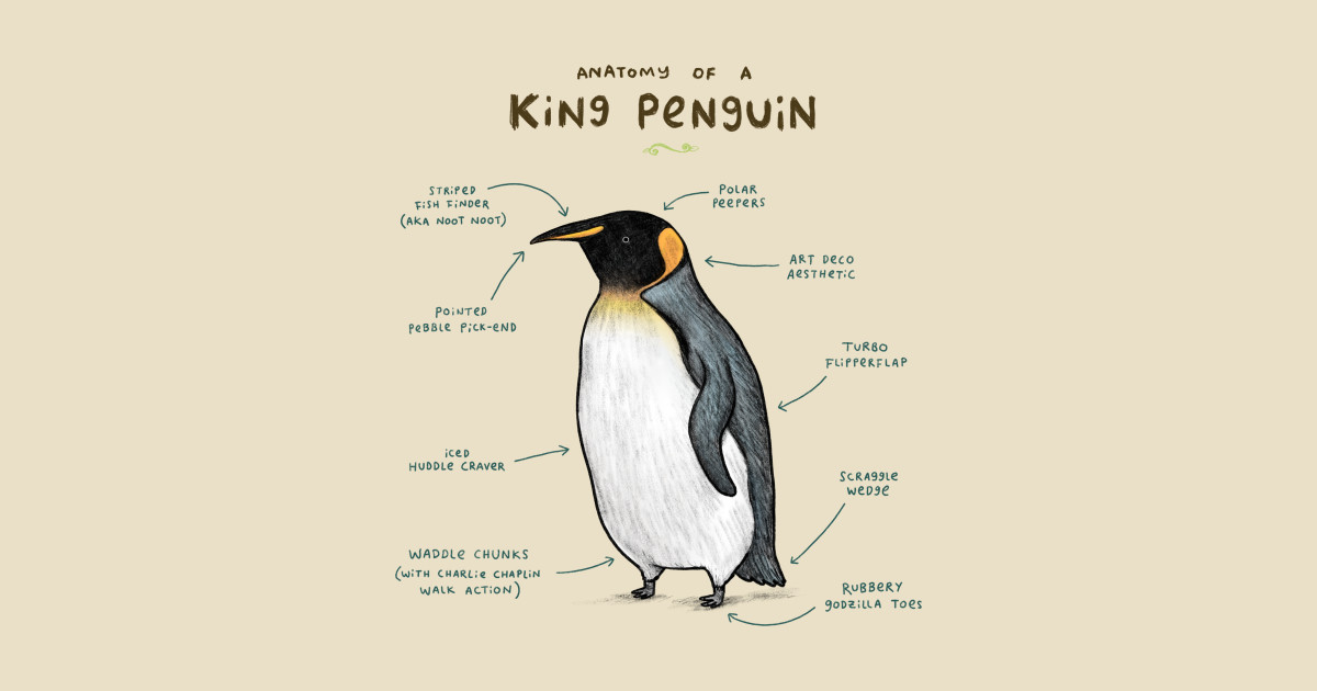 Anatomy of a King Penguin - Penguin - T-Shirt | TeePublic