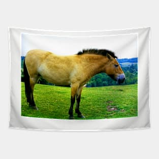 Przewalski's Horse Tapestry