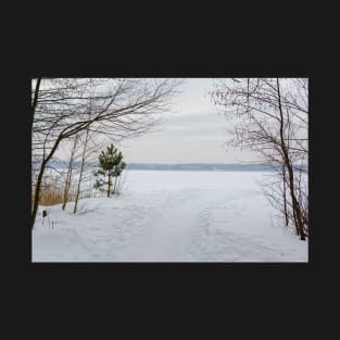 Tranquil landscape with the lake T-Shirt