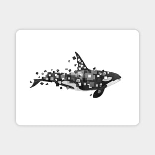 Fractured Killer Whale Magnet