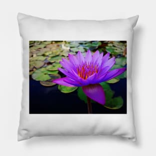 lotus flower Pillow