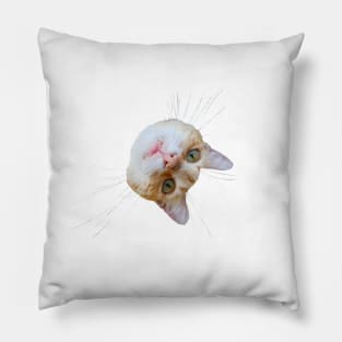 head of  red cat Pillow