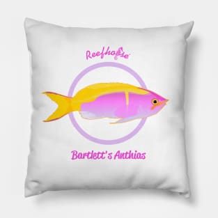 Barlett's Anthias Pillow