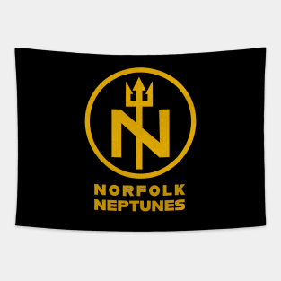 Defunct Norfolk Neptunes Football 1966 Tapestry