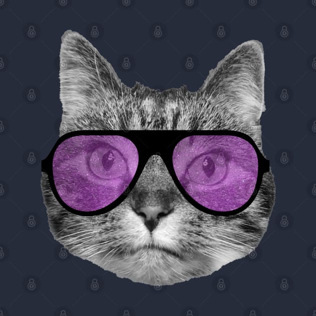 Cool cat wearing pink sunglasses by Purrfect