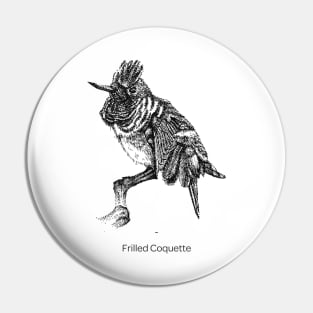 Frilled Coquette Bird Pin