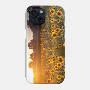 Sunflower field with a setting sun Phone Case