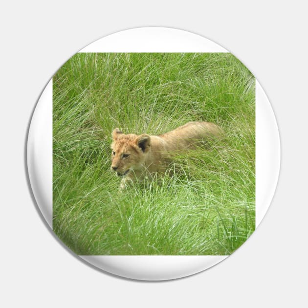 Lion Cub Pin by kirstybush