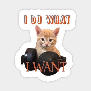 Gamer Cat - I do what I want Magnet