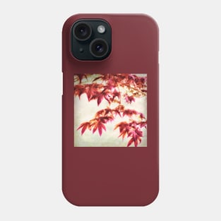 Japanese Maple Square - textured photo art Phone Case