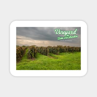 Vineyard on Lake Erie Shoreline Magnet