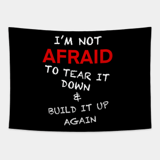 I’m not afraid Tapestry