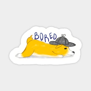 Detective corgi Magnet