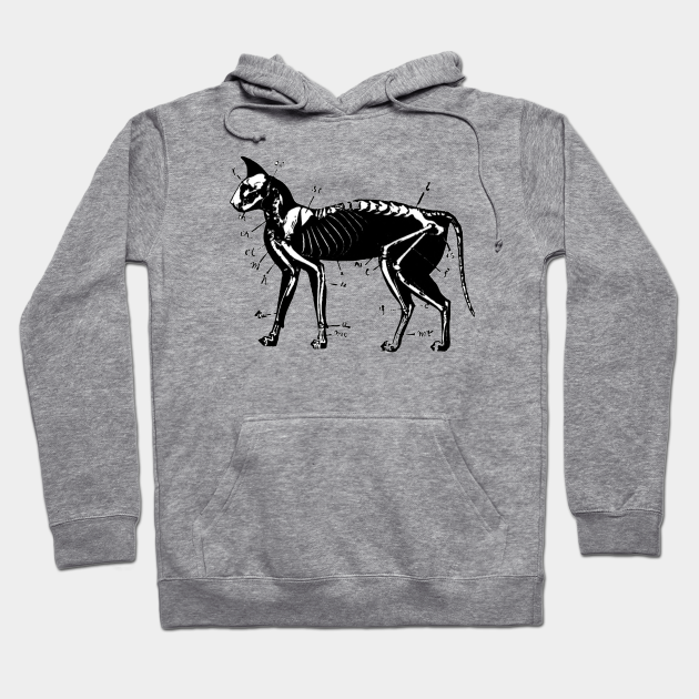 Cat Anatomy Sketch Cat Anatomy Hoodie Teepublic Deviantart is the world's largest online social community for artists and art enthusiasts, allowing people to connect through the creation and. teepublic