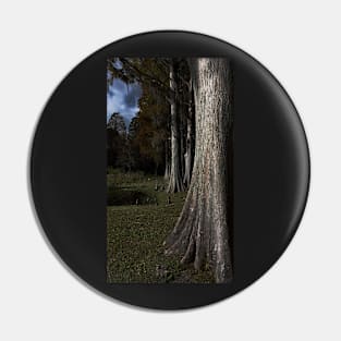 In the Moonlight Pin