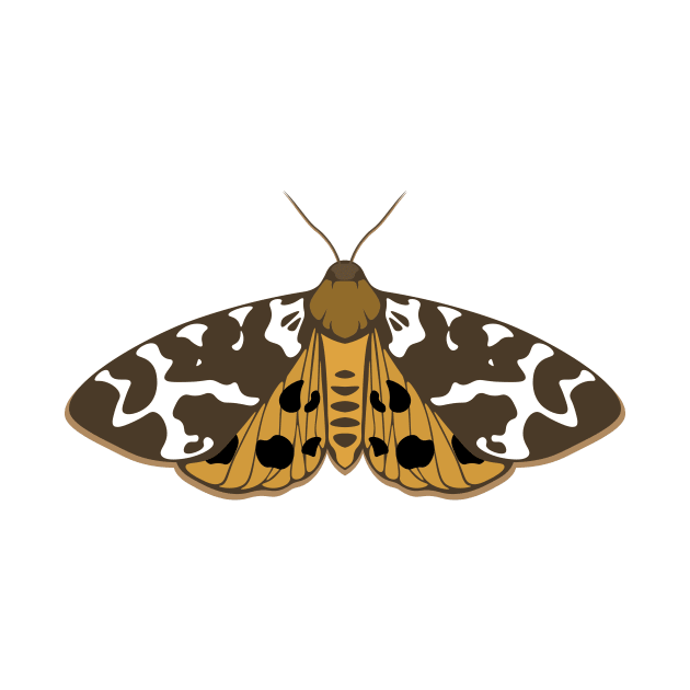 Garden Tiger Moth by masha