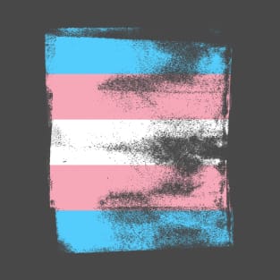 Trans Pride Flag Colors Vintage Finish T-Shirt