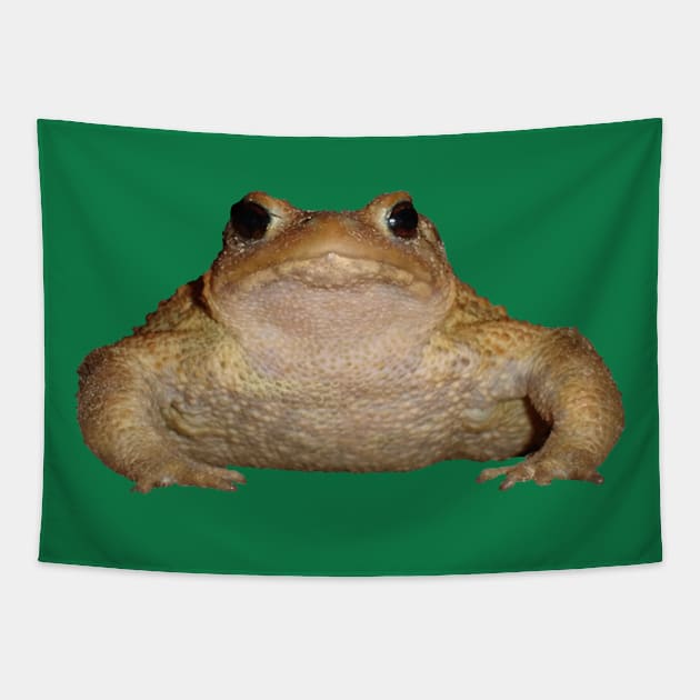 Herper Bufo Bufo European Toad Vector Tapestry by taiche