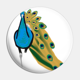 Cute Peacock Drawing Pin
